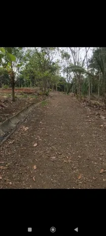 Excelente terreno para desarrollo  en Parrita, Puntarenas — ₡ 276 989 500 - Foto 3 de 15