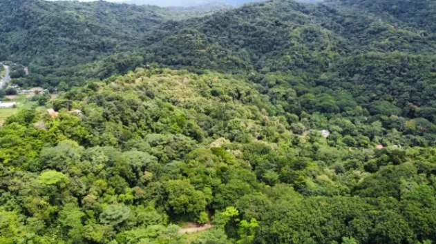 PROPIEDAD DE 7,482 M² EN VENTA – BOSQUE, QUEBRADA Y CERCA DE PLAYAS Y SERVICIOS en Quepos, Puntarenas — $246,906 - Foto 3 de 8