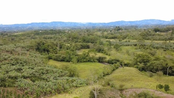 CONSTRUYA SU HOGAR IDEAL EN LA LINDA DE GENERAL VIEJO - LOTE DE 2,744 M² EN VENTA in San Isidro De El General, Pérez Zeledón, San José — $36,000
