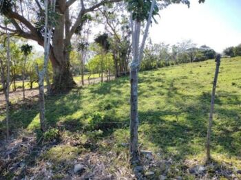 MLS-25-1563 LS VENTA LOTE SAN RAFAEL HEREDIA in San Rafael, Heredia — $238,360 - Photo 5 of 5