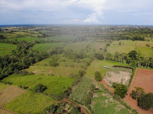 SE VENDE BELLA FINCA EN LOS CHILES DE ALAJUELA.  in El Amparo, Los Chiles, Alajuela — ₡ 6 000 000