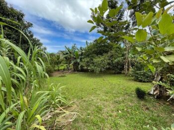 Venta de Lote en San Carlos-Aguas Zarcas. RAH 26-1301 in Aguas Zarcas, San Carlos, Alajuela — 50 000 000 ₡ - Photo 5 of 10