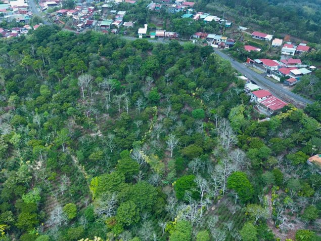 Finca cafetalera con alto potencial de desarrollo – San Ramón (7ha) in San Ramón, Alajuela — ₡ 800 000 000