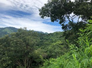 Terreno para vender Alto Lopez, Atenas en Atenas, Alajuela — $95,000 - Foto 5 de 30