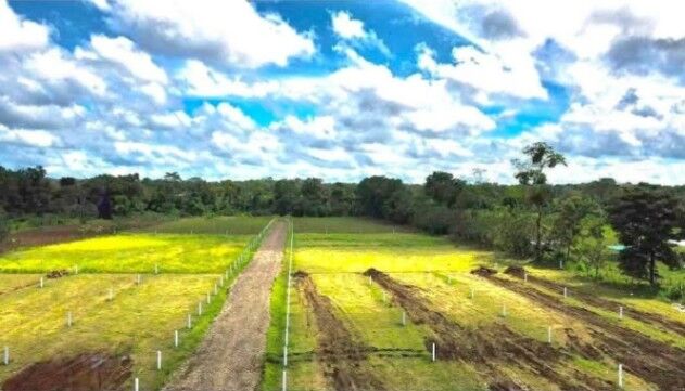 Lotes con Vista al Volcán en La Fortuna a 8km en La Fortuna, San Carlos, Alajuela — ₡ 35 000 000