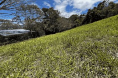 VENDO LOTE EN MORA-COLÓN. in Colón, Mora, San José — ₡ 68 000 000