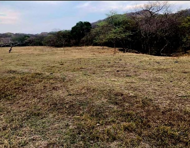 VENTA DE LOTE, GUANACASTE, SANTA CRUZ en Santa Cruz, Guanacaste — $50,000