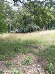 El encuentro con la naturaleza... El Rodeo. en Colón, Mora, San José — $184,000 - Foto 4 de 9