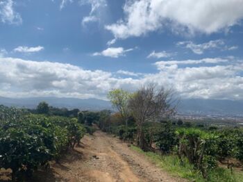 Oportunidad única: Venta de Finca con vistas panorámicas y uso comercial en San Rafael, Heredia in Concepción, San Rafael, Heredia — $5,770,931 - Photo 4 of 21