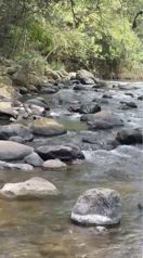Hermosa propiedad en San Ramón con 5 pozas naturales en Jacó, Garabito, Puntarenas — 125 000 000 ₡ - Foto 2 de 4