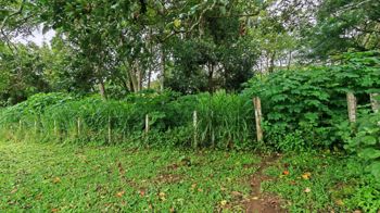 Lote en Venta, en Montes de Oca, San Rafael,Desarrollo,Cuatro Pisos. en San Rafael, Montes De Oca, San José — $2,022,240 - Foto 2 de 28