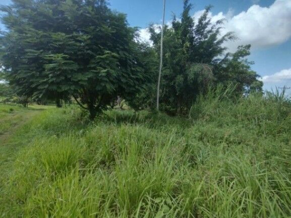 MLS-25-1043 VENTA LOTE LA TIGRA SAN CARLOS en La Tigra, San Carlos, Alajuela — ₡ 12 500 000