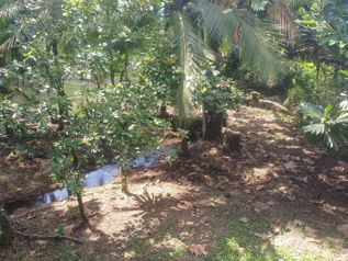 VENTA CASA, CON CESION DE DEUDA, HEREDIA, HORQUETAS, HUETARES en Las Horquetas, Sarapiquí, Heredia — 36 000 000 ₡ - Foto 5 de 21