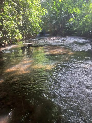 finca con potencial de siembra y construcción en La Fortuna, San Carlos, Alajuela — $223,800 - Foto 3 de 6