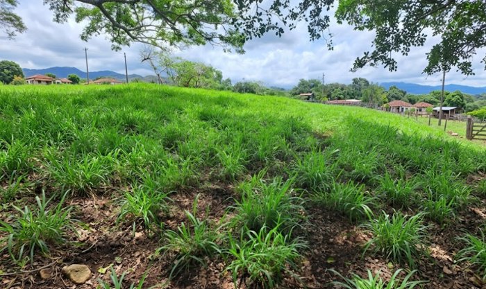 VENTA DE LOTE, USO MIXTO, ALAJUELA, ATENAS, SANTA EULALIA en Santa Eulalia, Atenas, Alajuela — $227,000 - Foto 3 de 6