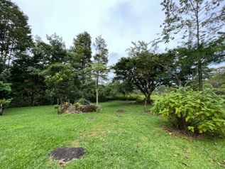 VENTA DE QUINTA DE 5.000 M2 CON ACCESO AL RIO PEÑAS BLANCAS Y RANCHO EN SANTA ELENA, PEREZ ZELEDON in El General, Pérez Zeledón, San José — $181,000 - Photo 3 of 31