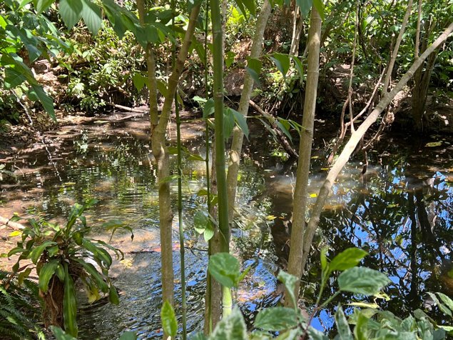 Finca en venta en Atenas, con vistas, manantial de agua, cascada in San José, Atenas, Alajuela — $525,000 - Photo 2 of 40