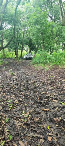 VENTA DE LOTE DE PLAYA, GUANACASTE, SANTA CRUZ in Santa Cruz, Guanacaste — ₡ 175 000 000
