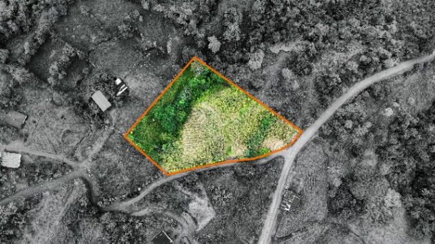 VENTA DE QUINTA SERENA EN SAN BLAS: 5.000 M2 CON QUEBRADA PROPIA en San Isidro De El General, Pérez Zeledón, San José — $50,000