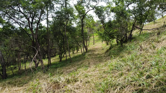 VENTA DE LOTE 10,000 m² CARRILLO, GUANACASTE in Belén, Carrillo, Guanacaste — $100,000 - Photo 3 of 6