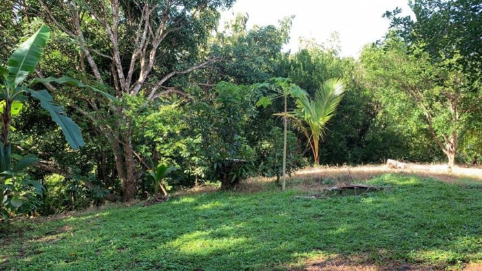 Terreno en Orotina  carrtera a Jaco precio de oportunidad in Jacó, Garabito, Puntarenas — $105,000