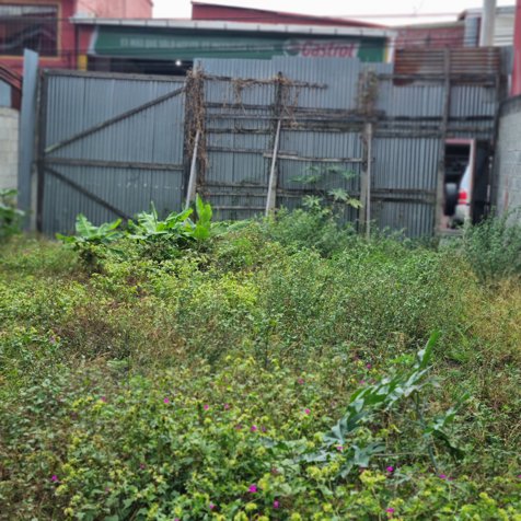Lote en Venta de Uso Residencial,en Guadalupe,Goicoechea,3PJG10093444 in Guadalupe, Goicoechea, San José — ₡ 50 000 000