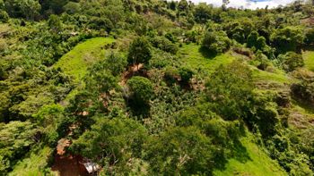 VENTA DE TERRENO DE 7.392 M2 CON VISTAS PANORAMICAS EN PLATANARES, PEREZ ZELEDON en Cajón, Pérez Zeledón, San José — $47,000 - Foto 5 de 34
