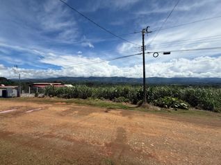 Terreno Premium en Pérez Zeledón, Costa Rica - Ideal para Desarrollo en Cajón, Pérez Zeledón, San José — $50,000 - Foto 2 de 6