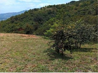 Se Vende Bella Propiedad en Piedades Sur de San Ramón.