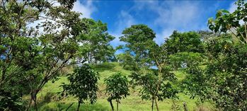 Finca en Venta Cajón, Pérez Zeledón, San José