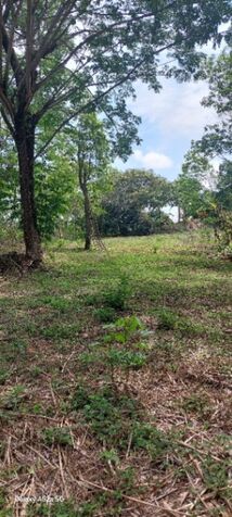  Lote en Venta – Orotina, Alajuela-2000 m2 in Coyolar, Orotina, Alajuela — ₡ 43 000 000