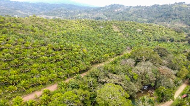 119 Hectare Finca en Rio Nuevo, Perez Zeledon en Río Nuevo, Pérez Zeledón, San José — $1,680,000