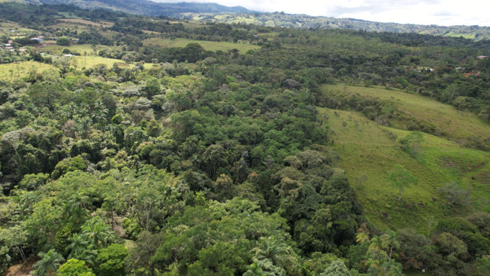 GREAT LOCATION!! Community, permaculture , self sustainable in Cajón, Pérez Zeledón, San José — $399,000