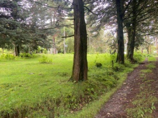 MLS-26-74 VENTA LOTE CON CASA DOTA SAN JOSE in Copey, Dota, San José — ₡ 125 000 000
