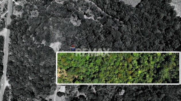 LOTE DE 1 HECTÁREA CON BOSQUE PRIVADO EN LAS MERCEDES DE CAJÓN, PÉREZ ZELEDÓN en Cajón, Pérez Zeledón, San José — $70,000