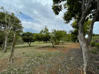 Propiedad de 4976m2 en Coyolar de Orotina en Coyolar, Orotina, Alajuela — $350,000 - Foto 5 de 14
