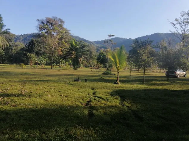 LAS VEGAS DE PARRITA, IDEAL PARA PROYECTOS VARIOS en Parrita, Puntarenas — $300,000 - Foto 2 de 29