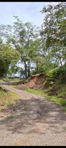 SE VENDE ESPECIAL Y ÚTIL FINCA EN RÍO GRANDE, ATENAS.  en Atenas, Alajuela — ₡ 100 000 000