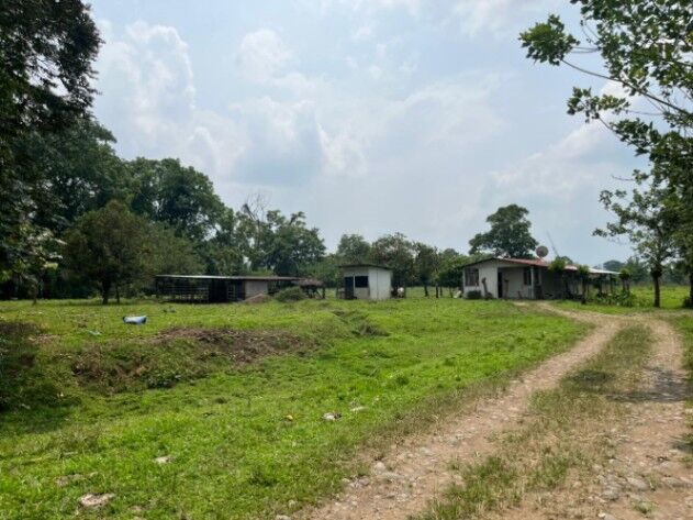 SE VENDE BELLA FINCA EN SAN RAFAEL DE GUÁPILES.  en La Colonia, Pococí, Limón — ₡ 13 000 000