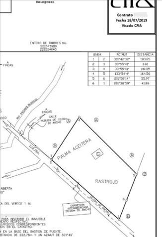 Dueño Vende Hermosa Quinta en Osa de Puntarenas, Costa Rica en Piedras Blancas, Osa, Puntarenas — ₡ 160 000 000