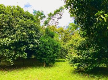 Lote paradisíaco en Ciudad Colón rodeado de naturaleza y paz total #26-1024 GS en Colón, Mora, San José — $425,000 - Foto 4 de 6