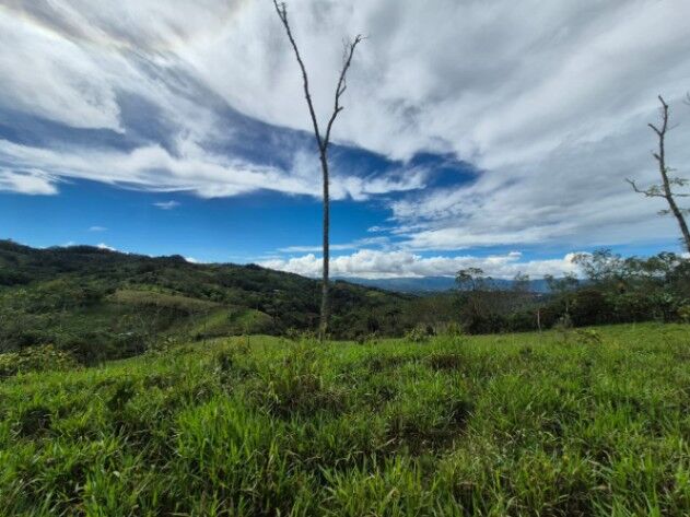 FINCA DE MÁS DE 2 HECTÁREAS CON VISTA AL VALLE, QUEBRADA Y ACCESO POR CALLE PÚBLICA EN MIRAFLORES in San Isidro De El General, Pérez Zeledón, San José — $225,000
