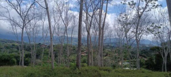 ESPECTACULAR PROPIEDAD EN VILLA NUEVA DE PÉREZ ZELEDÓN.  in El General, Pérez Zeledón, San José — ₡ 59 000 000