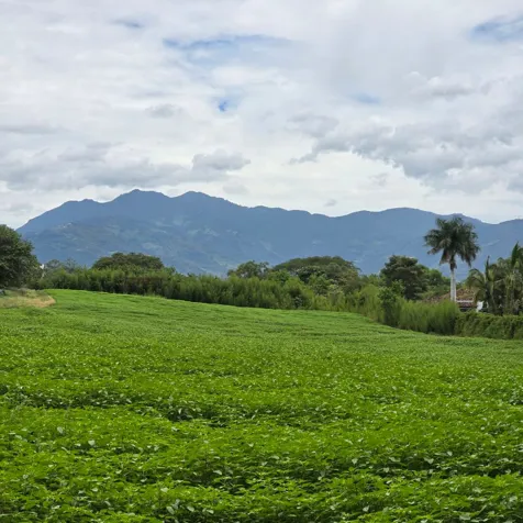 VENDO LOTE EN SAN RAFAEL DE ALAJUELA. USO DE SUELO MIXTO en San Rafael, Alajuela — $1,650,000 - Foto 3 de 8