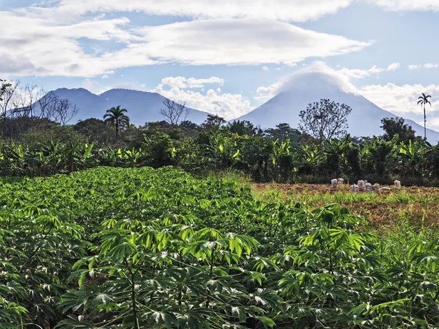 Propiedad para inversión en La Fortuna en La Fortuna, San Carlos, Alajuela — $450,000