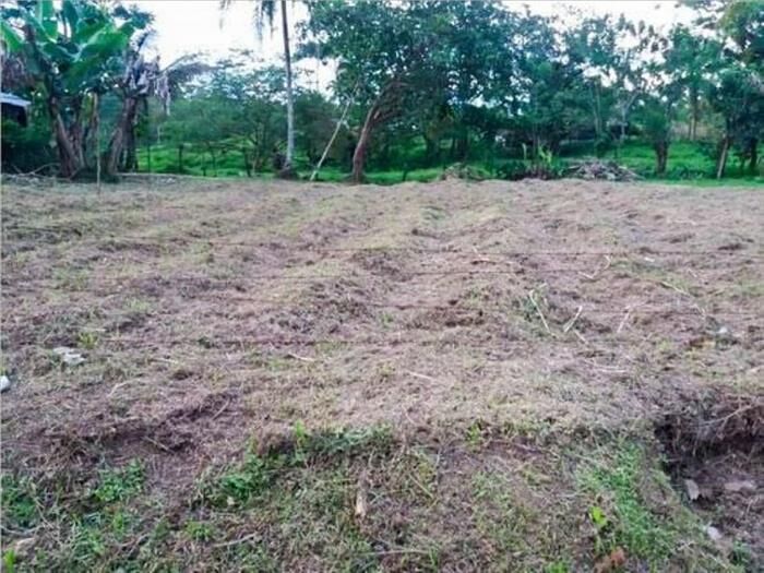 VENTA DE LOTE, ALAJUELA, RIO CUARTO. en Alajuela — ₡ 10 000 000