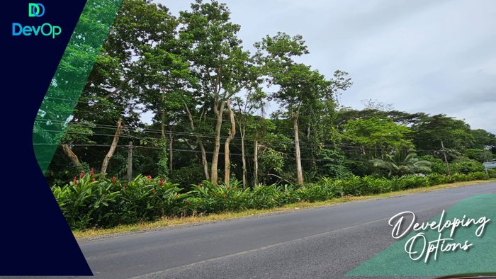 🟢 VENTA | Lotes Titulados | Cahuita | US$22/m² en Cahuita, Talamanca, Limón — $152,416 - Foto 2 de 5