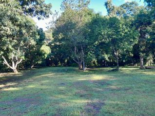 PARCELA EN VENTA EN GUACALILLO | 3.863 M² | P659 en Jacó, Garabito, Puntarenas — 90 000 000 ₡ - Foto 4 de 8