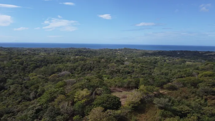 2,4 Hecs lot with ocean views, 10 min to Playa Marbella in Cuajiniquil, Santa Cruz, Guanacaste — $399,000 - Photo 2 of 34