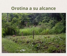 PRECIO DE OPORTUNIDAD! Terreno en Orotina in Hacienda Vieja, Orotina, Alajuela — 36 575 000 ₡ - Photo 4 of 11